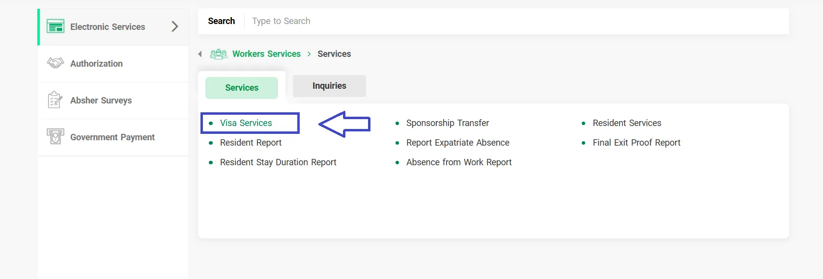 Visa Service Image